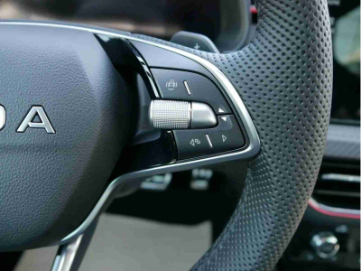 Skoda Kamiq 1.5 TSi 150 DSG Monte Carlo