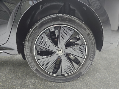 Skoda Kamiq 1.0 TSi 116 DSG Monte Carlo