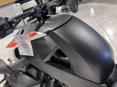 Can-Am Ryker RALLY 900