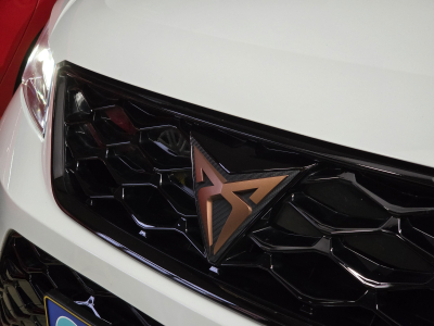 Cupra Ateca 2.0 TSI 300CV 4Drive DSG7