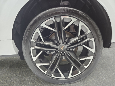 Cupra Terramar 2.0 TSI DSG 265 VZ 4Drive