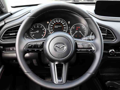 Mazda CX-30 2.5 E-Skyactiv  G 140 Homura