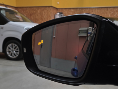 Skoda Octavia RS DSG 245CV