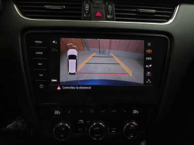 Skoda Octavia RS DSG 245CV