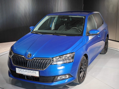 Skoda Fabia 1.0 TSI GPS CRUISE CLIM AUTO APS AR