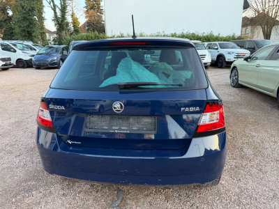 Skoda Fabia Joy