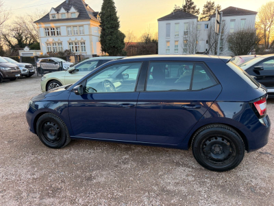 Skoda Fabia Joy