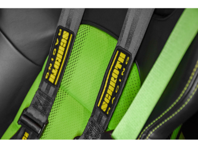 Porsche 991 .2 GT3 RS PDK - LIZARD GREEN