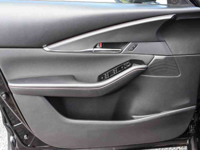 Mazda CX-30 2.5 E-Skyactiv  G 140 Homura