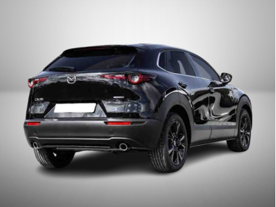 Mazda CX-30 2.5 E-Skyactiv  G 140 Homura