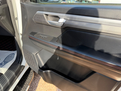 JAC T8 8 Pro 2.4 T/LEDER/KAMERA/4WD