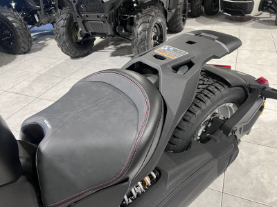 Can-Am Ryker MY25 RALLY 900