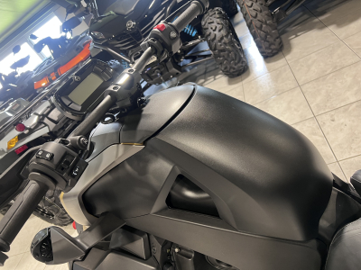 Can-Am Ryker MY25 RALLY 900