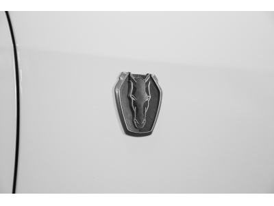 Ford Mustang Coupé 5.0 V8 - DARK HORSE