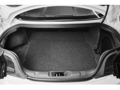 Ford Mustang Coupé 5.0 V8 - DARK HORSE