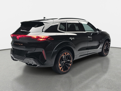 Cupra Terramar 2.0 TSI DSG 265 VZ 4Drive