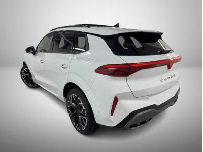 Cupra Terramar 2.0 TSI DSG 265 VZ 4Drive