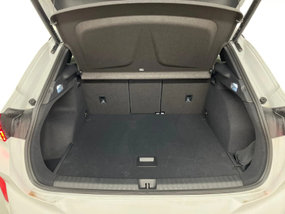 Cupra Terramar 2.0 TSI DSG 265 VZ 4Drive