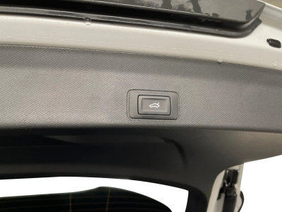 Cupra Terramar 2.0 TSI DSG 265 VZ 4Drive