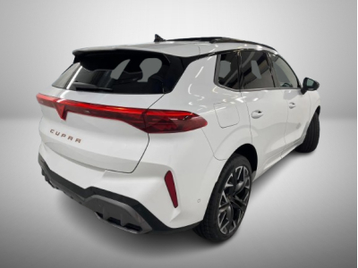 Cupra Terramar 2.0 TSI DSG 265 VZ 4Drive