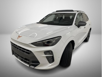 Cupra Terramar 2.0 TSI DSG 265 VZ 4Drive