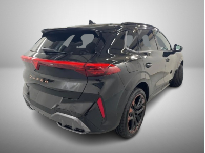 Cupra Terramar 2.0 TSI DSG 265 VZ 4Drive