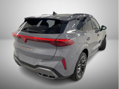 Cupra Terramar 2.0 TSI DSG 265 VZ 4Drive