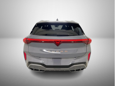 Cupra Terramar 2.0 TSI DSG 265 VZ 4Drive