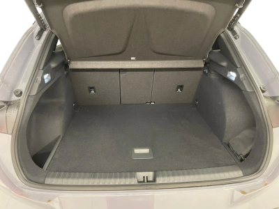 Cupra Terramar 2.0 TSI DSG 265 VZ 4Drive