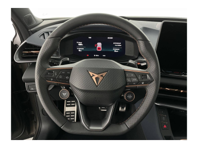 Cupra Terramar 2.0 TSI DSG 265 VZ 4Drive