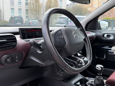 Citroën C4 Cactus Shine Pack