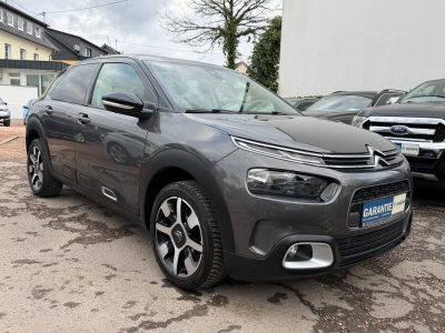Citroën C4 Cactus Shine Pack