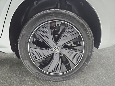 Skoda Kamiq 1.0 TSi 116 DSG Monte Carlo