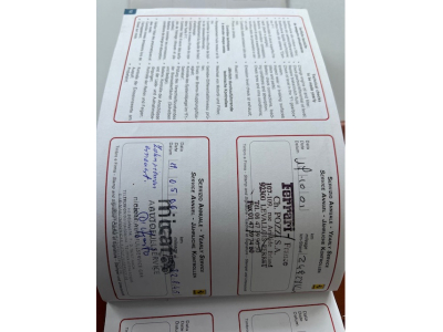 Ferrari F355 F1 Spider - 2.Hand - Neuer Service - TOP