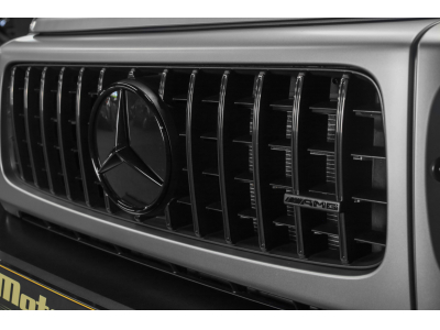 Mercedes-Benz G 63 AMG V8 Bi-Turbo - MANUFAKTUR Platinum Magno