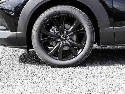 Mazda CX-30 2.5 E-Skyactiv  G 140 Homura