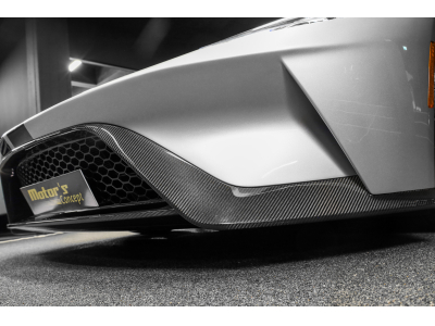 Ford GT Carbon Series - Ingot Silver