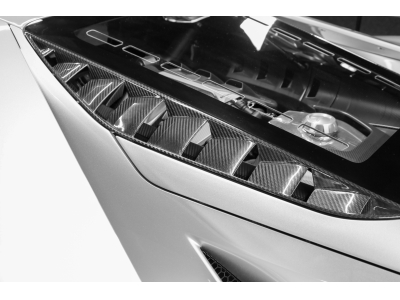 Ford GT Carbon Series - Ingot Silver