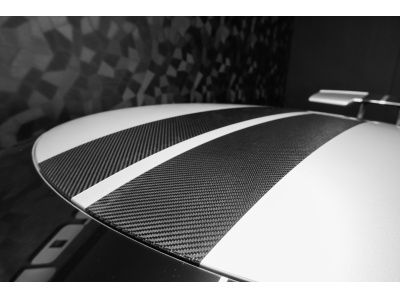 Ford GT Carbon Series - Ingot Silver