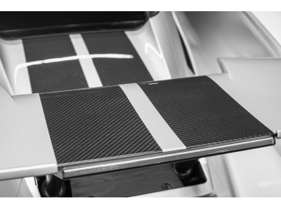 Ford GT Carbon Series - Ingot Silver