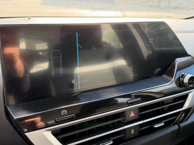 Citroën C4 Lim. Feel/Kamera/