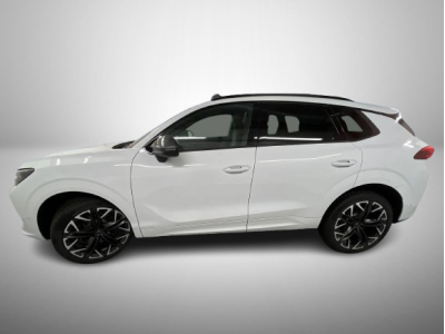 Cupra Terramar 2.0 TSI DSG 265 VZ 4Drive