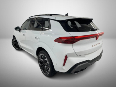 Cupra Terramar 2.0 TSI DSG 265 VZ 4Drive
