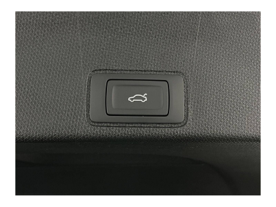 Cupra Terramar 2.0 TSI DSG 265 VZ 4Drive