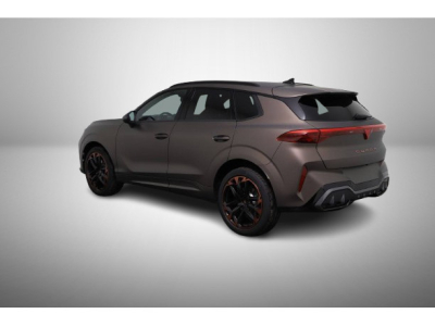 Cupra Terramar 2.0 TSI DSG 265 VZ 4Drive