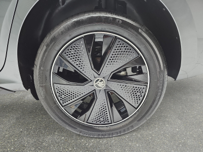 Skoda Kamiq 1.5 TSi 150 DSG Monte Carlo