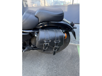 Harley-Davidson Sportster Forty Eight 