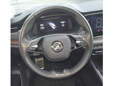 Skoda Octavia RS Scout 2.0 TDI DSG 4x4 /Pano/Canto/AHK