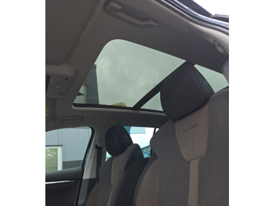 Skoda Octavia RS Scout 2.0 TDI DSG 4x4 /Pano/Canto/AHK