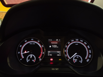 Skoda Octavia RS DSG 245CV